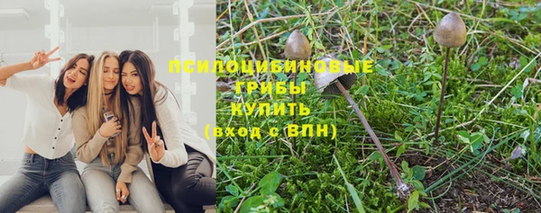 гидропоника Михайловск