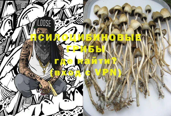 гидропоника Михайловск