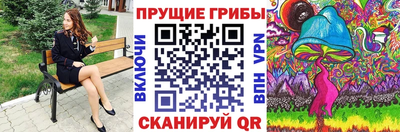 Купить закладки Канаш Псилоцибиновые грибы мицелий